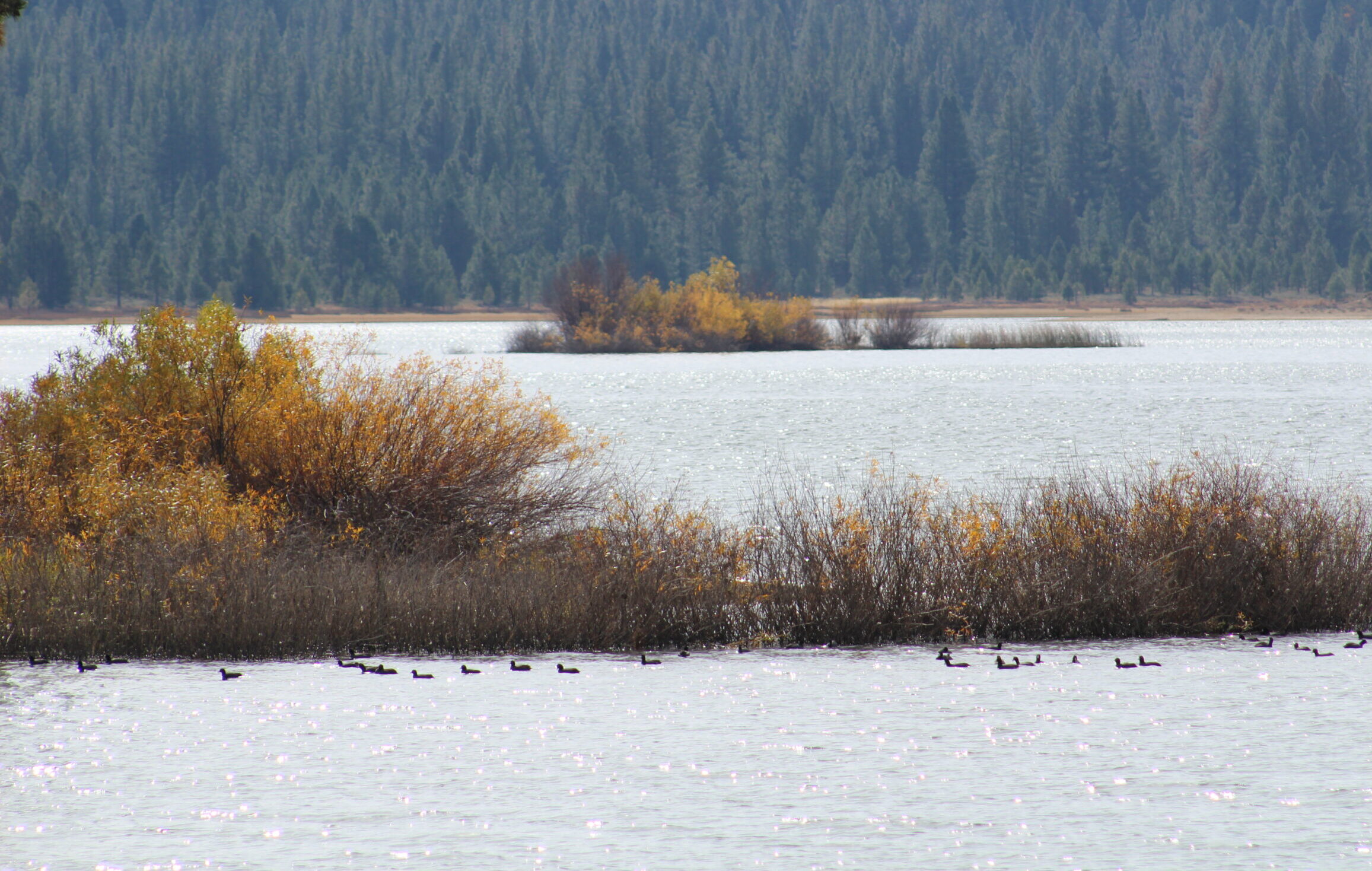 A nice day at the lake